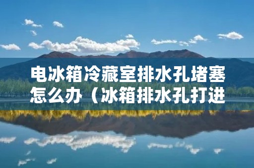 电冰箱冷藏室排水孔堵塞怎么办（冰箱排水孔打进去的水怎么抽出来）