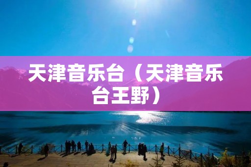 天津音乐台(天津音乐台王野) 天津音乐台(天津音乐台王野)
