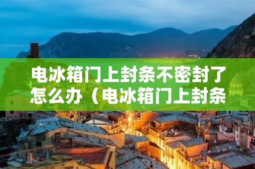 电冰箱门上封条不密封了怎么办(电冰箱门上封条不密封了怎么办呢)