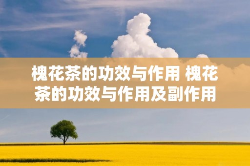 槐花茶的功效与作用 槐花茶的功效与作用及副作用