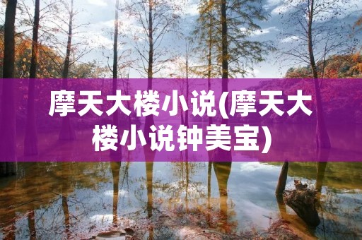 摩天大楼小说(摩天大楼小说钟美宝)