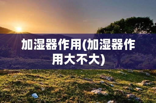 加湿器作用(加湿器作用大不大)