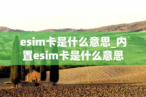 esim卡是什么意思_内置esim卡是什么意思
