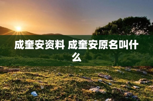 成奎安资料 成奎安原名叫什么