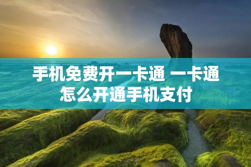 手机免费开一卡通 一卡通怎么开通手机支付 手机免费开一卡通 一卡通怎么开通手机支付