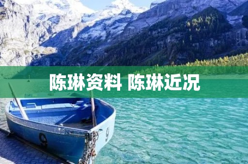 陈琳资料 陈琳近况