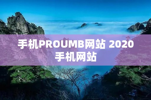 手机PROUMB网站 2020手机网站