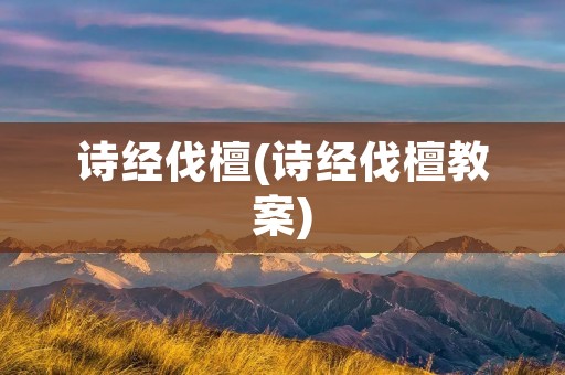 诗经伐檀(诗经伐檀教案)
