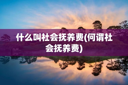 什么叫社会抚养费(何谓社会抚养费)
