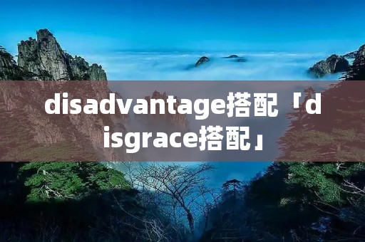 disadvantage搭配「disgrace搭配」