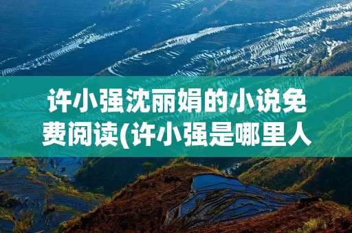 许小强沈丽娟的小说免费阅读(许小强是哪里人)