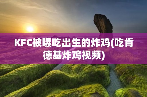 KFC被曝吃出生的炸鸡(吃肯德基炸鸡视频)