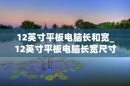 12英寸平板电脑长和宽_12英寸平板电脑长宽尺寸图