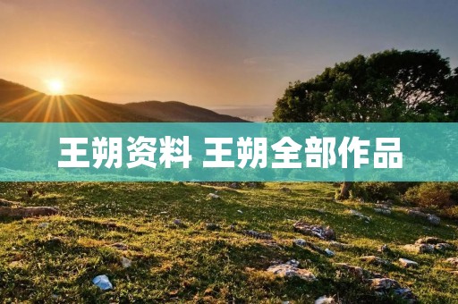 王朔资料 王朔全部作品