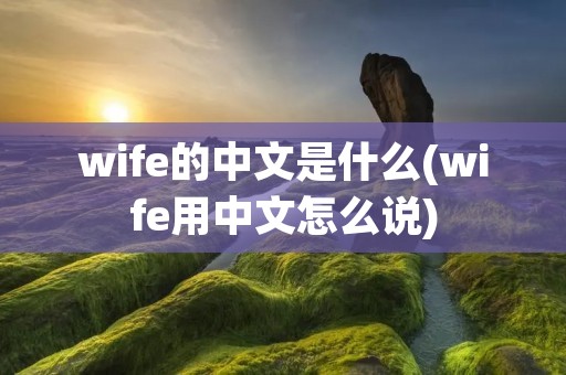 wife的中文是什么(wife用中文怎么说) wife的中文是什么(wife用中文怎么说)