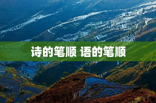 诗的笔顺 语的笔顺 诗的笔顺 语的笔顺