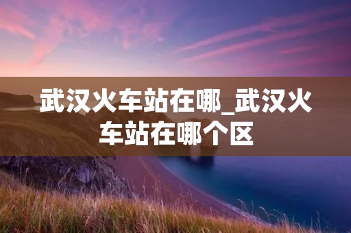 武汉火车站在哪_武汉火车站在哪个区