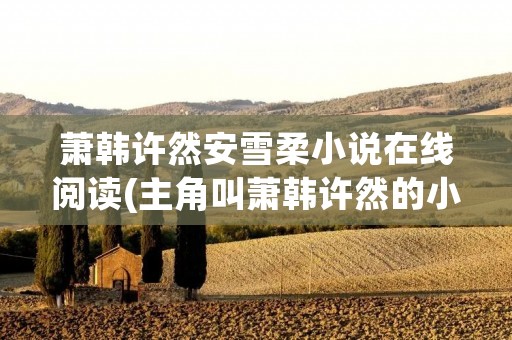 萧韩许然安雪柔小说在线阅读(主角叫萧韩许然的小说)