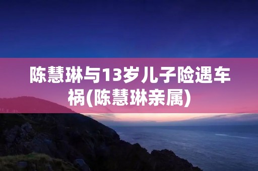 陈慧琳与13岁儿子险遇车祸(陈慧琳亲属)