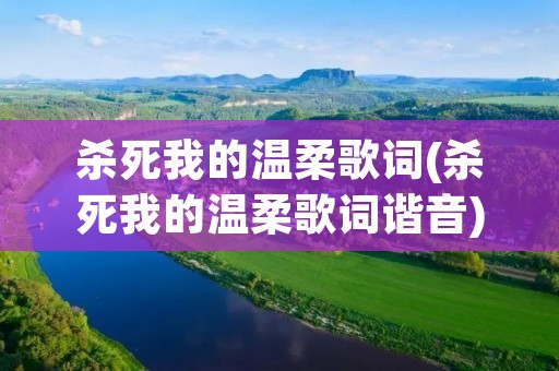杀死我的温柔歌词(杀死我的温柔歌词谐音)