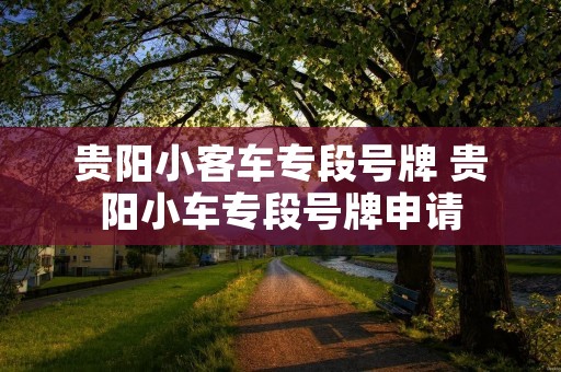 贵阳小客车专段号牌 贵阳小车专段号牌申请 贵阳小客车专段号牌 贵阳小车专段号牌申请