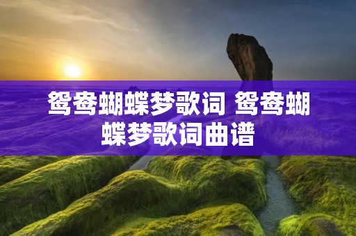 鸳鸯蝴蝶梦歌词 鸳鸯蝴蝶梦歌词曲谱