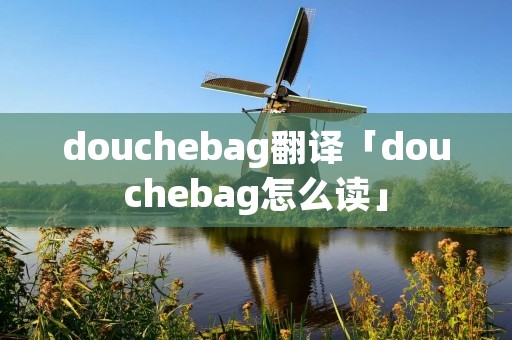douchebag翻译「douchebag怎么读」