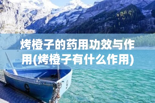 烤橙子的药用功效与作用(烤橙子有什么作用)