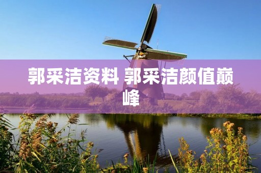 郭采洁资料 郭采洁颜值巅峰