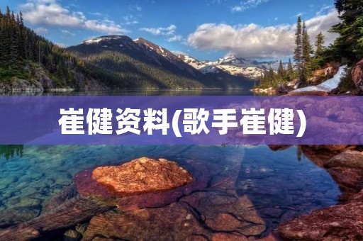 崔健资料(歌手崔健)
