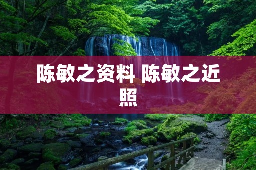 陈敏之资料 陈敏之近照