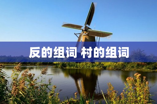 反的组词 村的组词