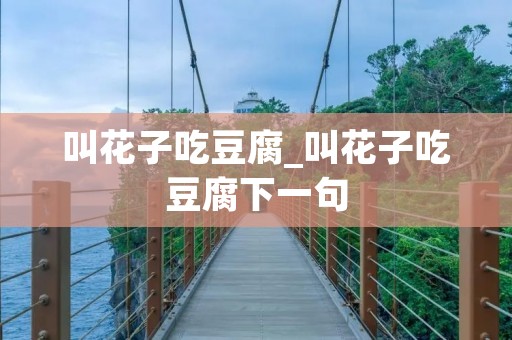 叫花子吃豆腐_叫花子吃豆腐下一句