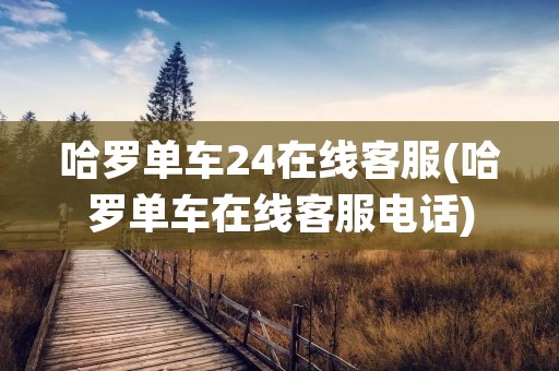 哈罗单车24在线客服(哈罗单车在线客服电话)