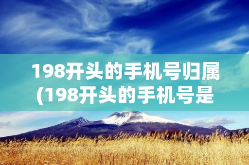 198开头的手机号归属(198开头的手机号是哪里)