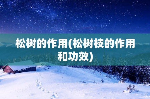 松树的作用(松树枝的作用和功效)