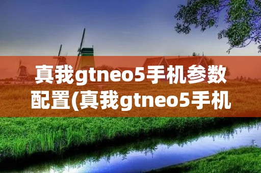 真我gtneo5手机参数配置(真我gtneo5手机参数配置处理器) 真我gtneo5手机参数配置(真我gtneo5手机参数配置处理器)