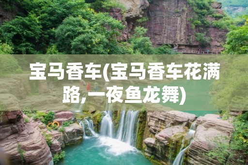 宝马香车(宝马香车花满路,一夜鱼龙舞)