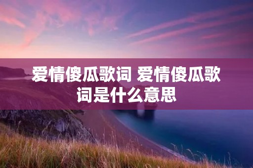 爱情傻瓜歌词 爱情傻瓜歌词是什么意思