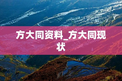方大同资料_方大同现状