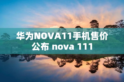 华为NOVA11手机售价公布 nova 111