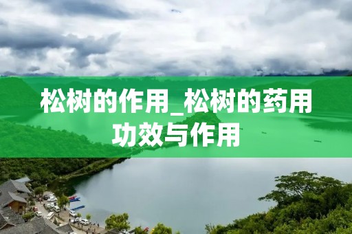 松树的作用_松树的药用功效与作用