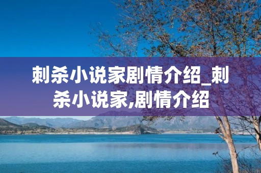 刺杀小说家剧情介绍_刺杀小说家,剧情介绍