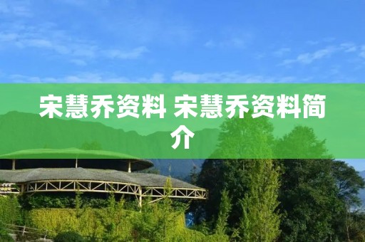 宋慧乔资料 宋慧乔资料简介