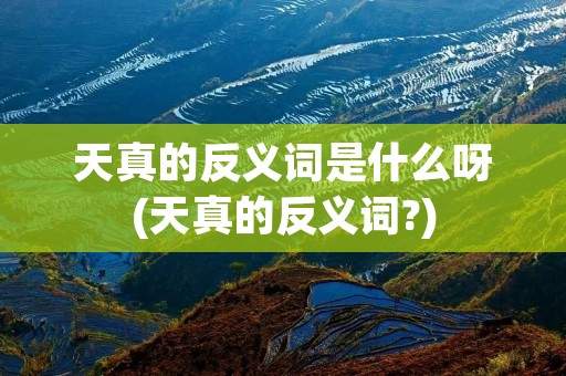 天真的反义词是什么呀(天真的反义词?)