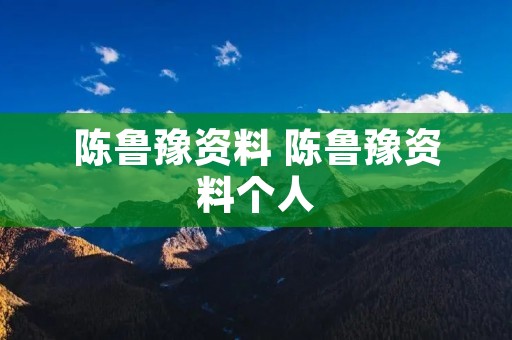 陈鲁豫资料 陈鲁豫资料个人