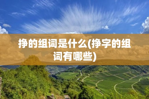 挣的组词是什么(挣字的组词有哪些)