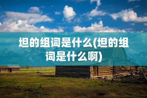 坦的组词是什么(坦的组词是什么啊)