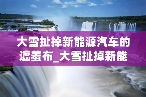 大雪扯掉新能源汽车的遮羞布_大雪扯掉新能源汽车的遮羞布摊煎饼果子的酱怎么调制