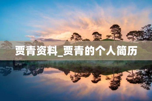 贾青资料_贾青的个人简历